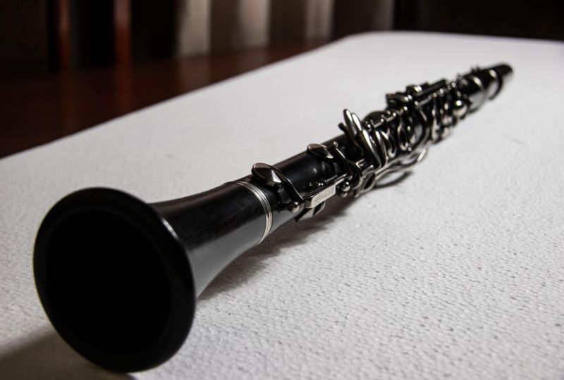 Florida school on lockdown after AI system mistook clarinet for a gun
